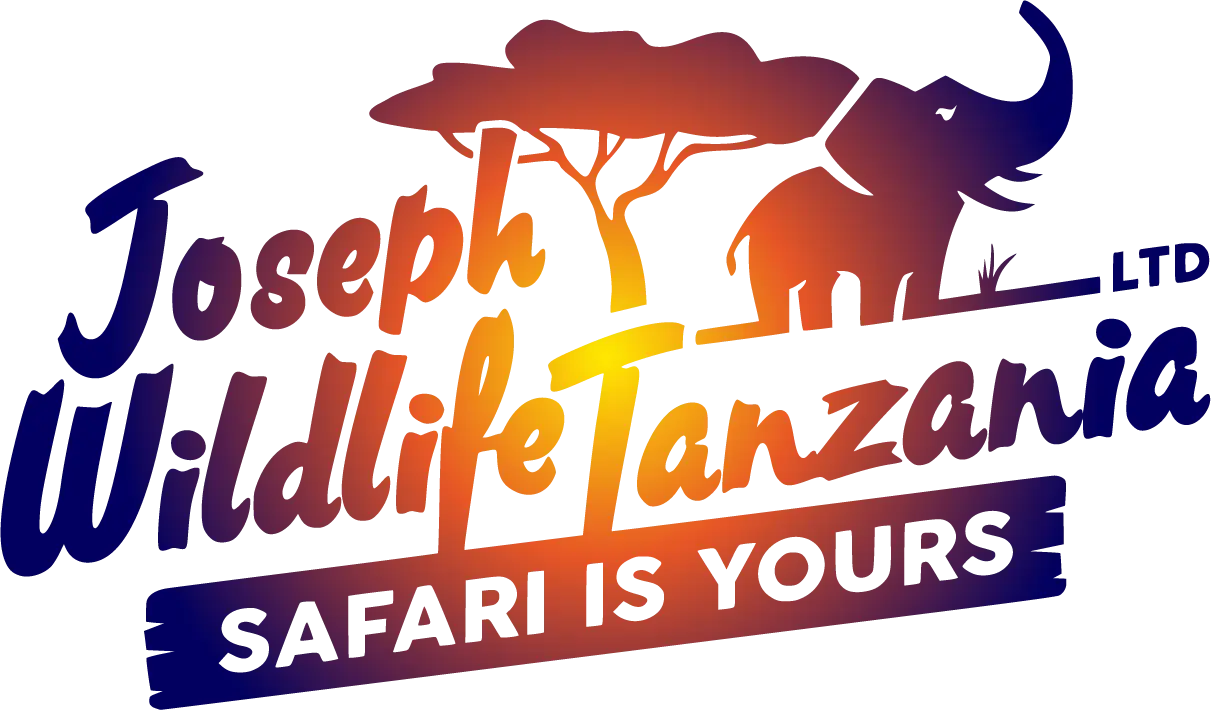 Joseph Safari Tanzanie